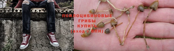 прущие крисы Верхний Тагил
