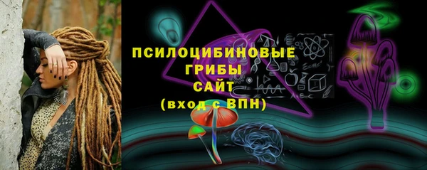 стафф Сосновка